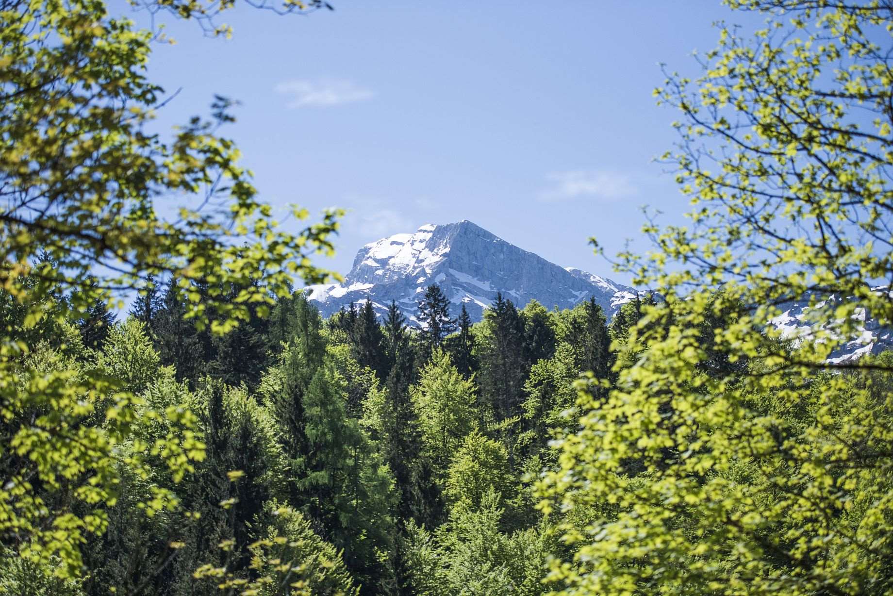 Kempinski Hotel Berchtesgarden - Miscellaneous